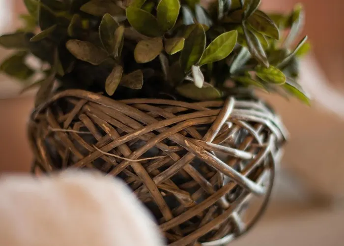 La Rusacca Daire Pacentro